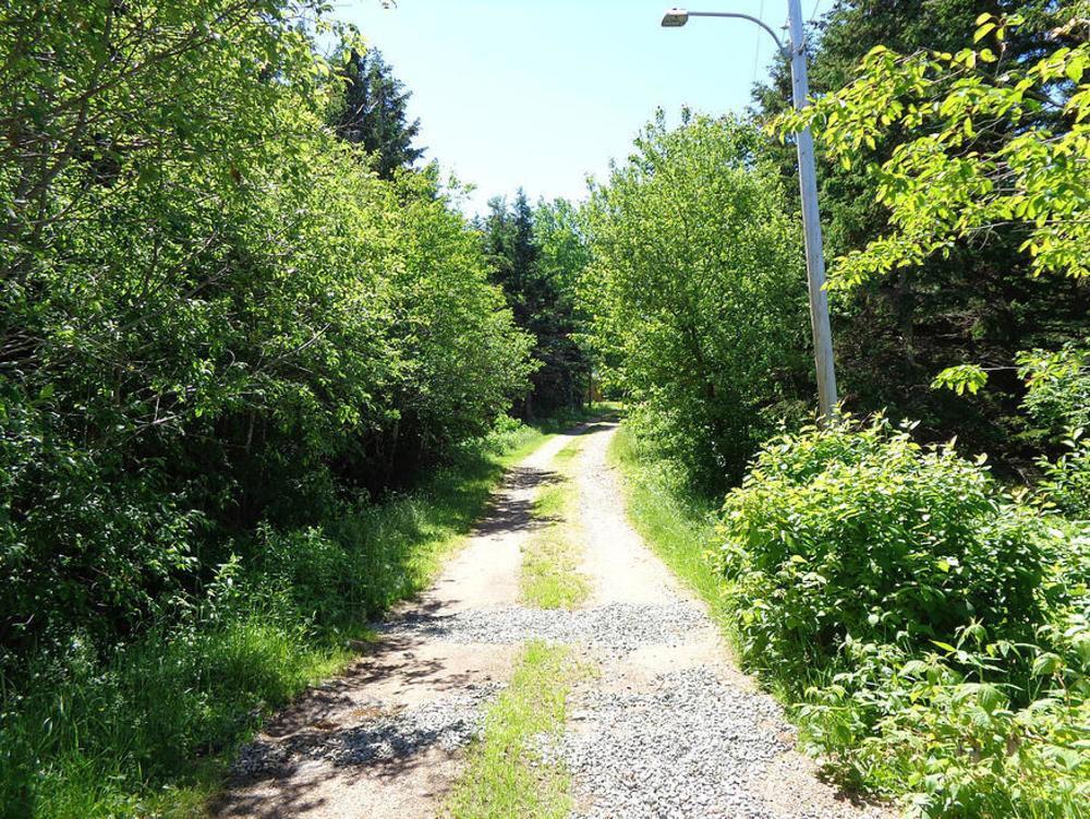 Cajun Cedar Log Cottages Margaree Forks Exterior photo